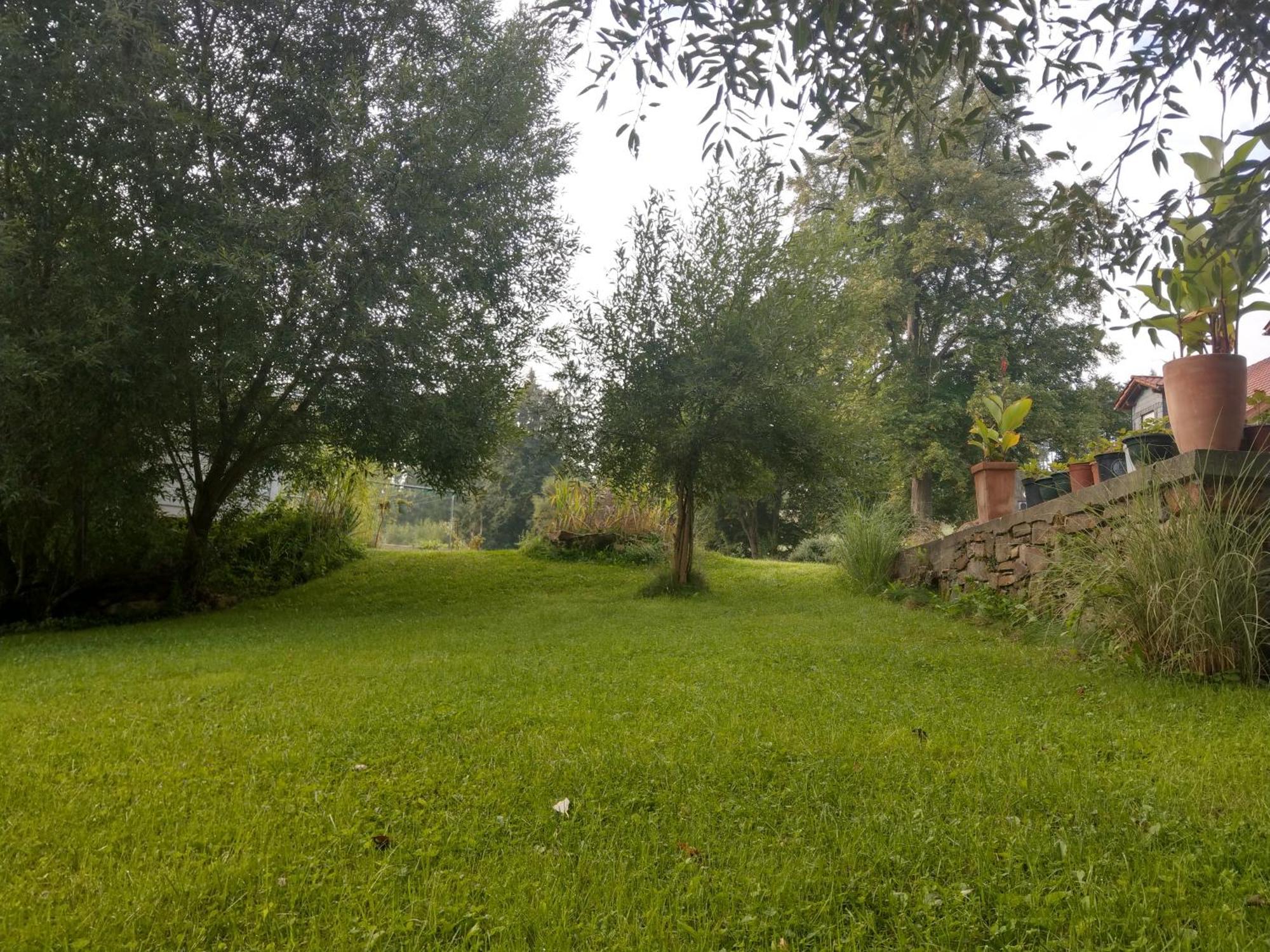 Wald-Apartment Лимбах-Оберфрона Экстерьер фото